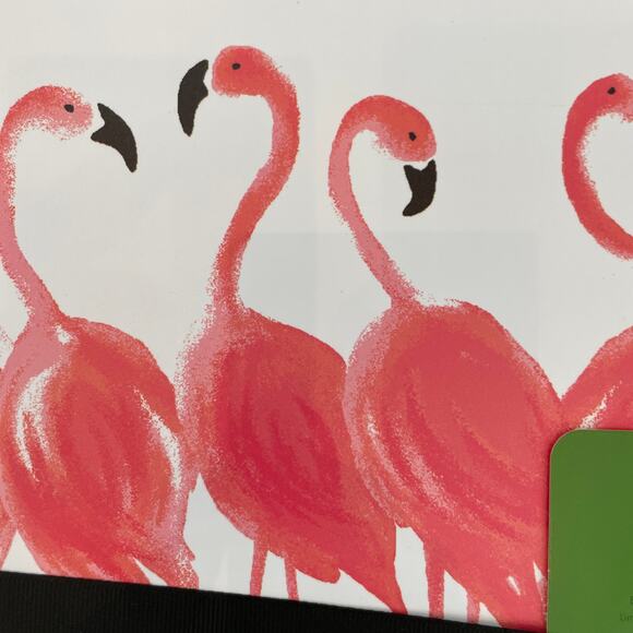 KATE SPADE Pink Flamingo Black Striped Easy Care Vinyl Placemats Set of 4 NEW - Picture 8 of 9